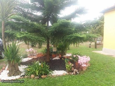 Moradia na Quinta do Picado, com jardim partilhado