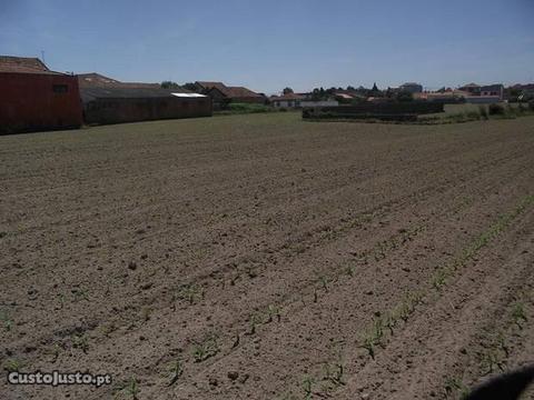 Terreno com 5400m2 para Construção