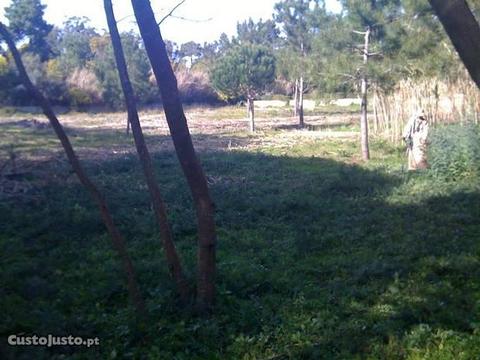 Terreno Rústico com 3420m2 Banzão Colares Sintra