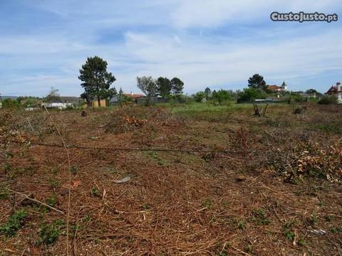 Terreno para construção no centro da Pampilhosa