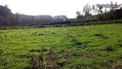 Terreno com 1900m2 Gondiães Vila Verde