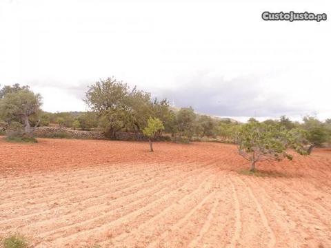 Terreno Agrícola Alcaria Cova-Estoi