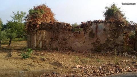 Terreno com casa em ruínas, vinha e oliveiras