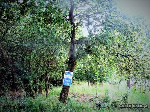 Terreno em Carreço