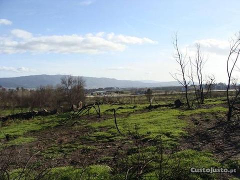 Terreno Agrícola