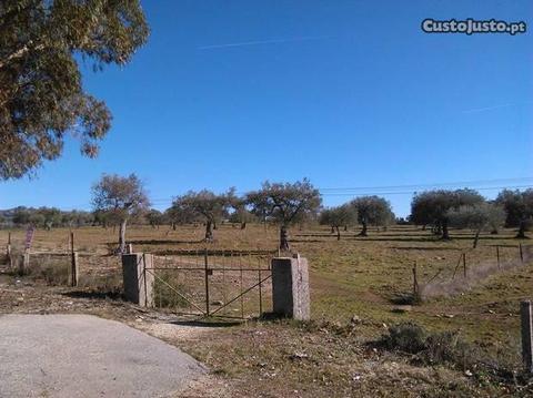 terreno com 4,5 ha em Monsanto