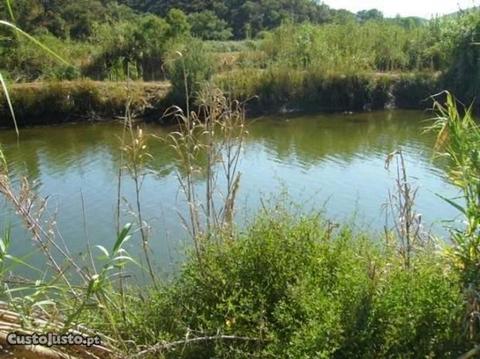 Terreno Agrícola com 1000m2 Silves - Odelouca