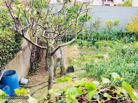 Lote de terreno para construção no Bairro das Maro