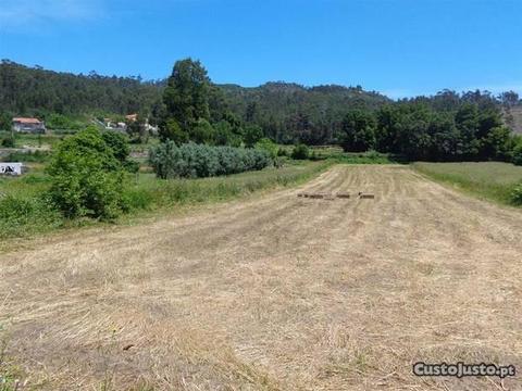 Terreno Construção 3300m2 (N/Ref.ª: 251160174)