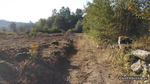 Terreno com 1000m2 Coucieiro Vila Verde