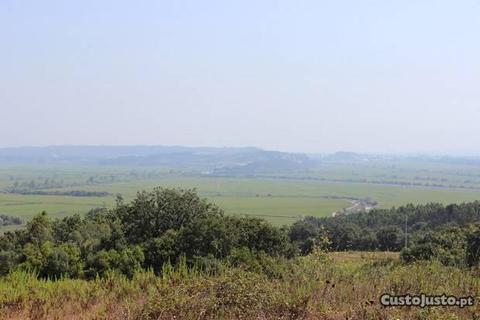 Terreno com 10.000 m2 em Maiorca, Figueira da Foz