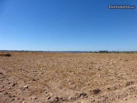 Terreno de cultivo com 110.000 m2, F.C. Rodrigo