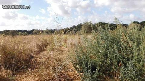 Terreno, 10000m2 de terreno