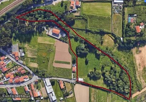 Terreno na Madalena (179180033)