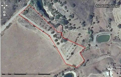 Terreno com 5280m2 Pêra Silves (BI-PS64706)