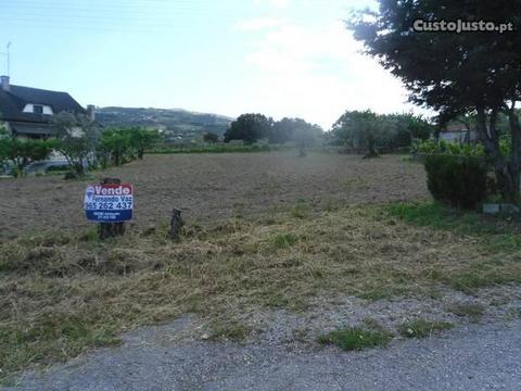 Óptimo Terreno à Entrada de Celorico da Beira