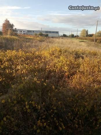 Lote terreno urbano 4250 m2