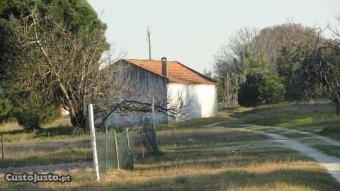 [5266] terreno rústico e urbano