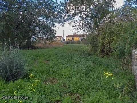 Terreno com Casa e 1 anexo em ruínas