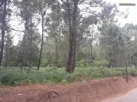 Terreno Nogueira - V. N. Cerveira