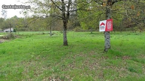 Terreno plano Coucieiro Vila Verde