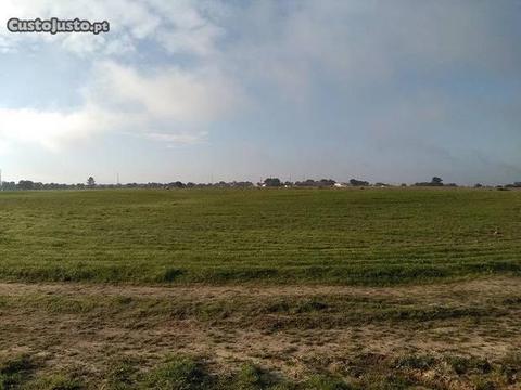 Terreno limpo com 15ha, bocas de rega - Alcochete