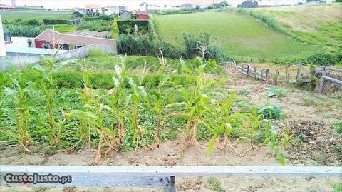 Lote urbano com vista mar