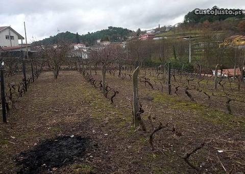 Terreno Urbanizável junto às Torres das Flores