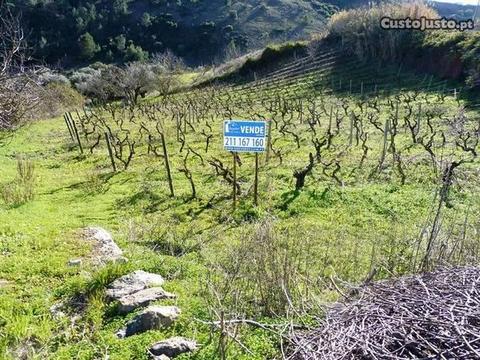 Terreno na Calhandriz