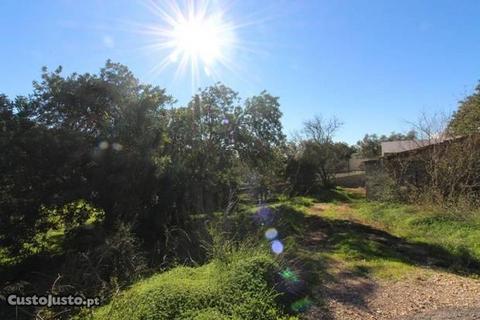 Terreno Urbano com 1590m2 Alte Loulé - RO-CB-7-71