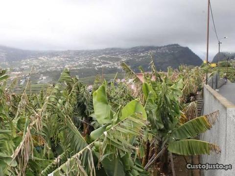 Terreno Funchal