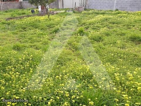 Terreno em Ílhavo para construção de moradia