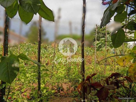 [240-T-18696] Terreno p/ moradia